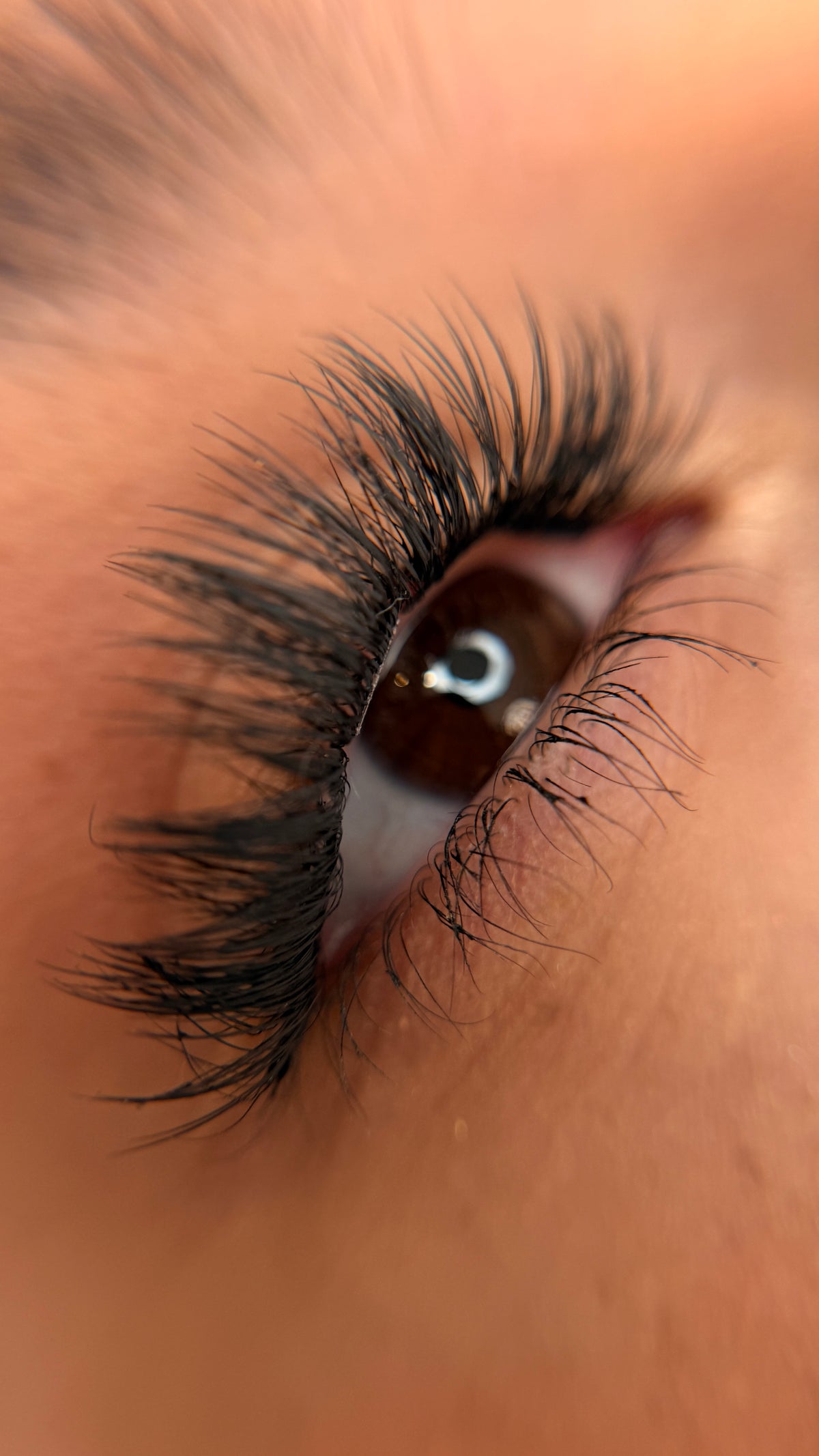 ELC 05